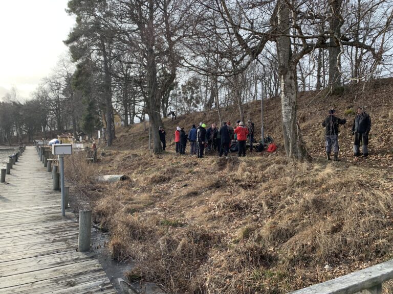 Röjardagen